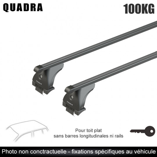 Barres de toit pour Nissan X Trail 2001 à 2014