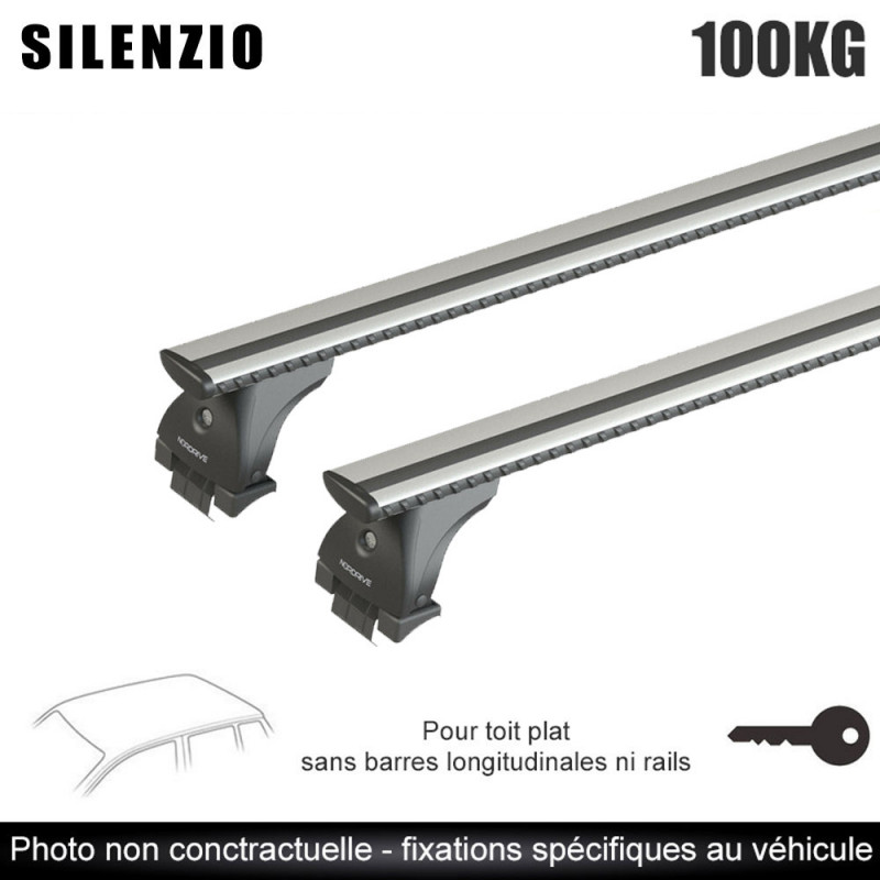 Pack Coffre de toit + barres alu pour Peugeot 208 2012 à 2019