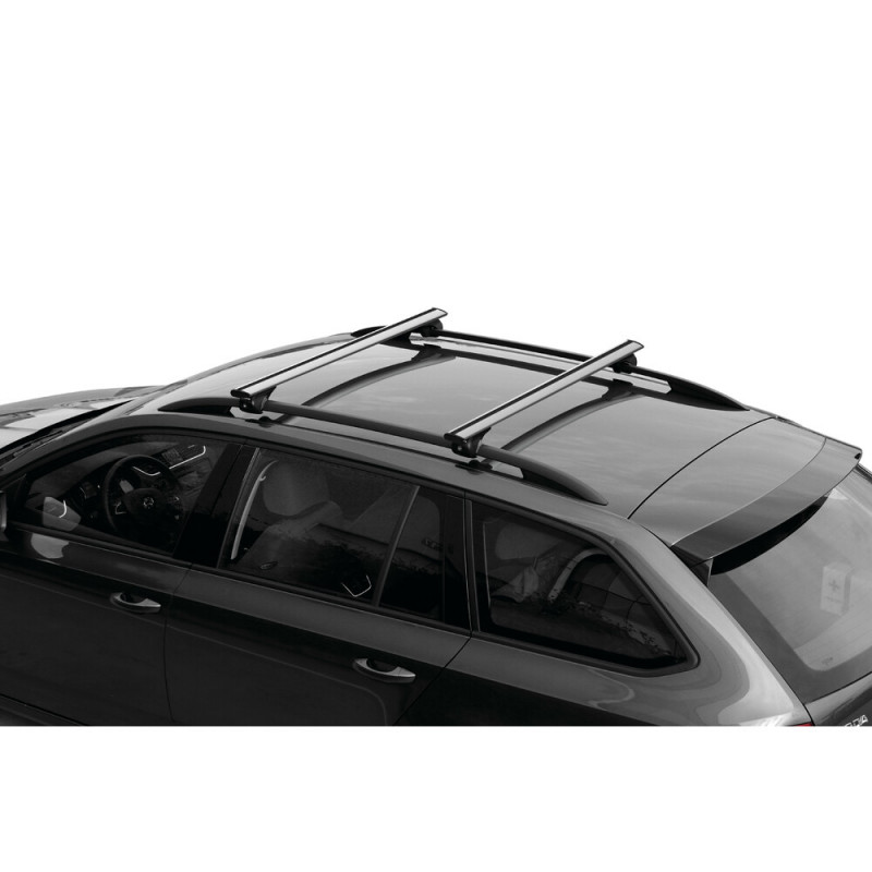 2 barres de toit Acier avec fixations sur portières MONT BLANC : Volkswagen  PASSAT